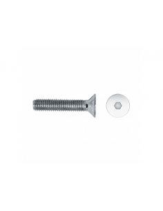 TORNILLO ALLEN DIN 7991 10.9 CINCADO