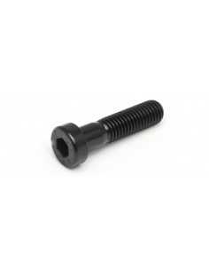 TORNILLO ALLEN DIN 7984 8.8 PAVONADO