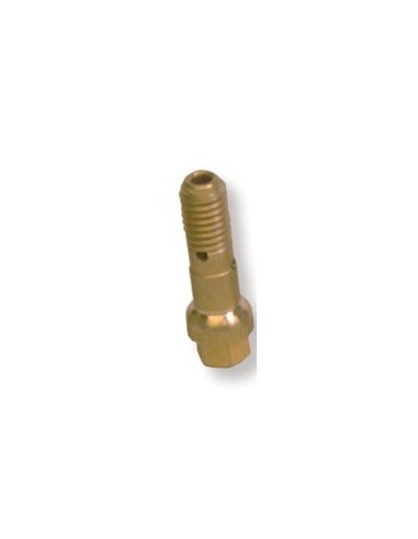 TORNILLO+TAPON  W000386643+W000386642